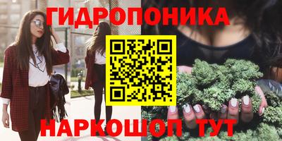 сатива Бузулук